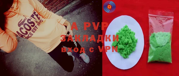 СК Каменка