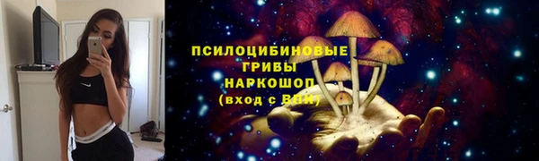 mdpv Каменск-Шахтинский