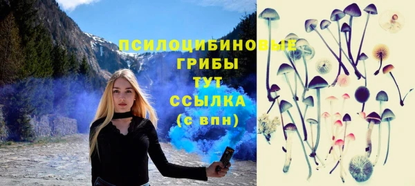 mdpv Каменск-Шахтинский