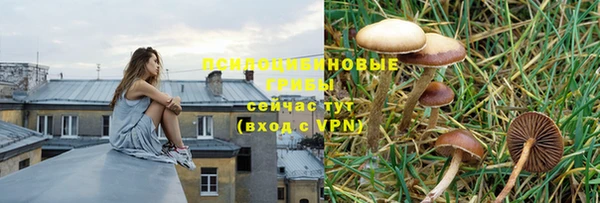 хмурый Каменногорск