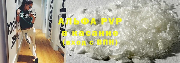 прущие грибы Киреевск
