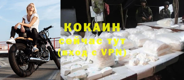 хмурый Каменногорск