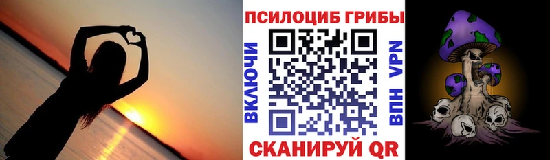 Купить закладки  Сурск  Псилоцибиновые грибы Cubensis 